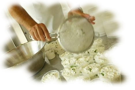 disinfettanti alimentari detergenti